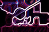 immagine neon lights 024006